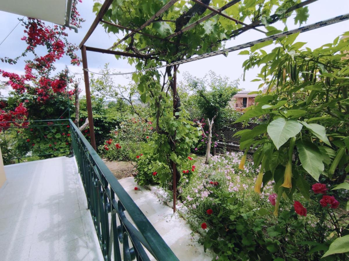 Corfu Countryside Apartment Potamós Екстериор снимка